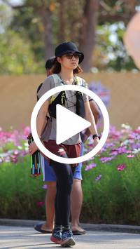 BIB:  <button type="button" onclick="openModal(27584666)" class="btn btn-primary btn-sm float-right" data-toggle="modal" data-target=".modal-high-quality">
                <i class="fa fa-download"></i> Download
                </button>